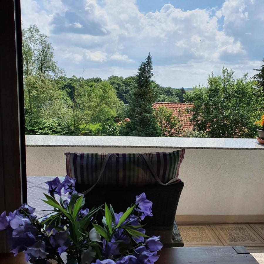 Schau Ins Land Apartman Elbingerode  Kültér fotó