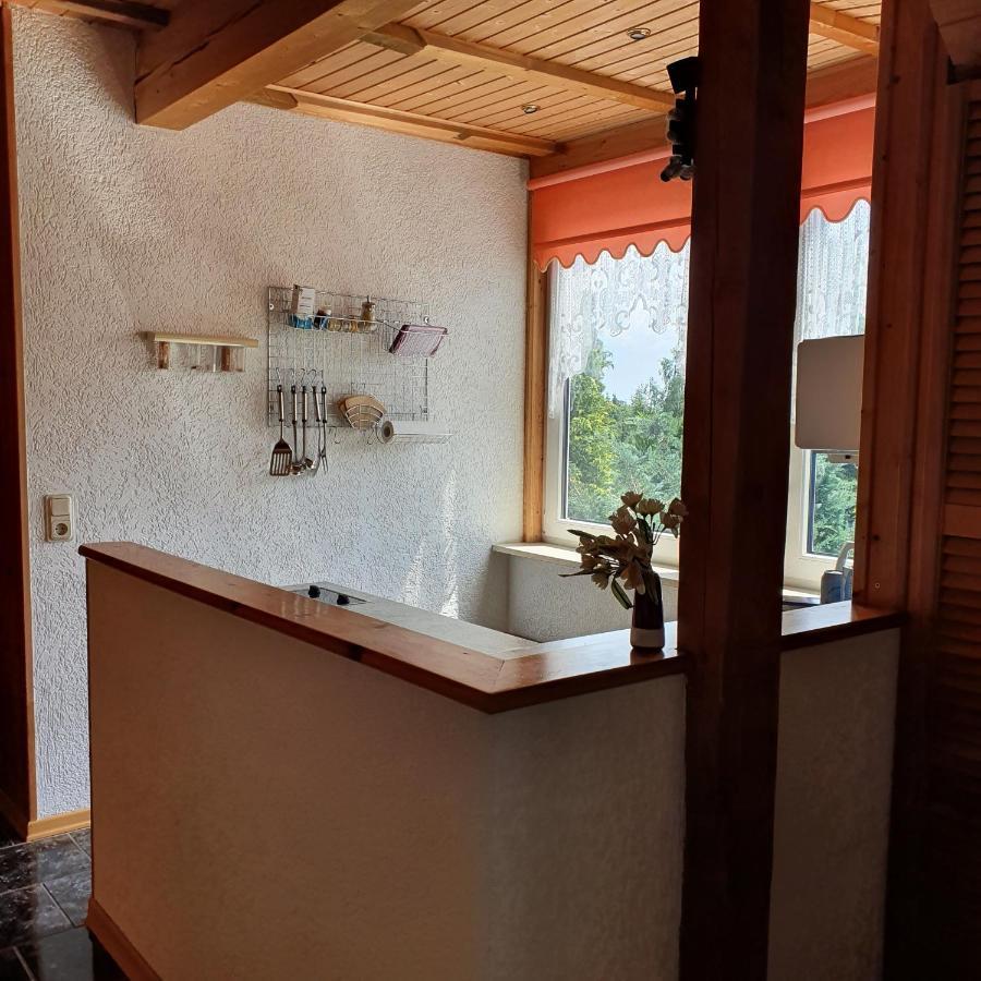 Schau Ins Land Apartman Elbingerode  Kültér fotó